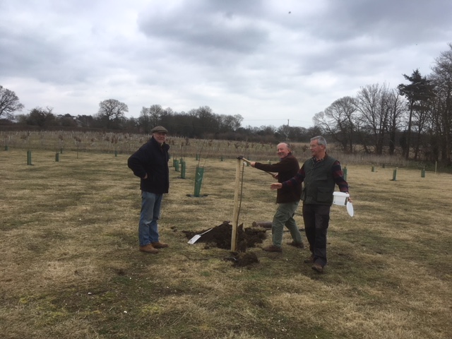 Men planting trees and having fun
