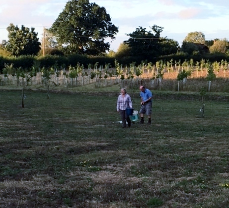 People in Alotment watering