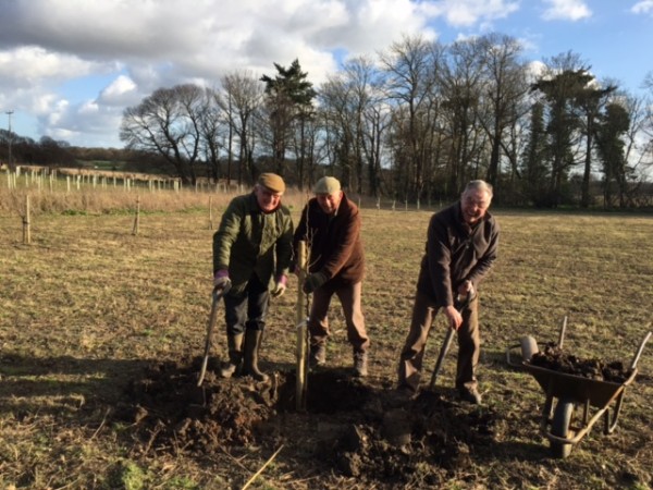 Men planting trees and having fun