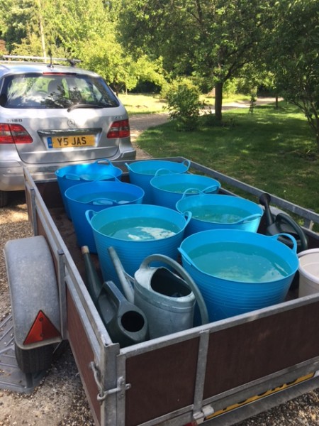 Water taken to the Orchard