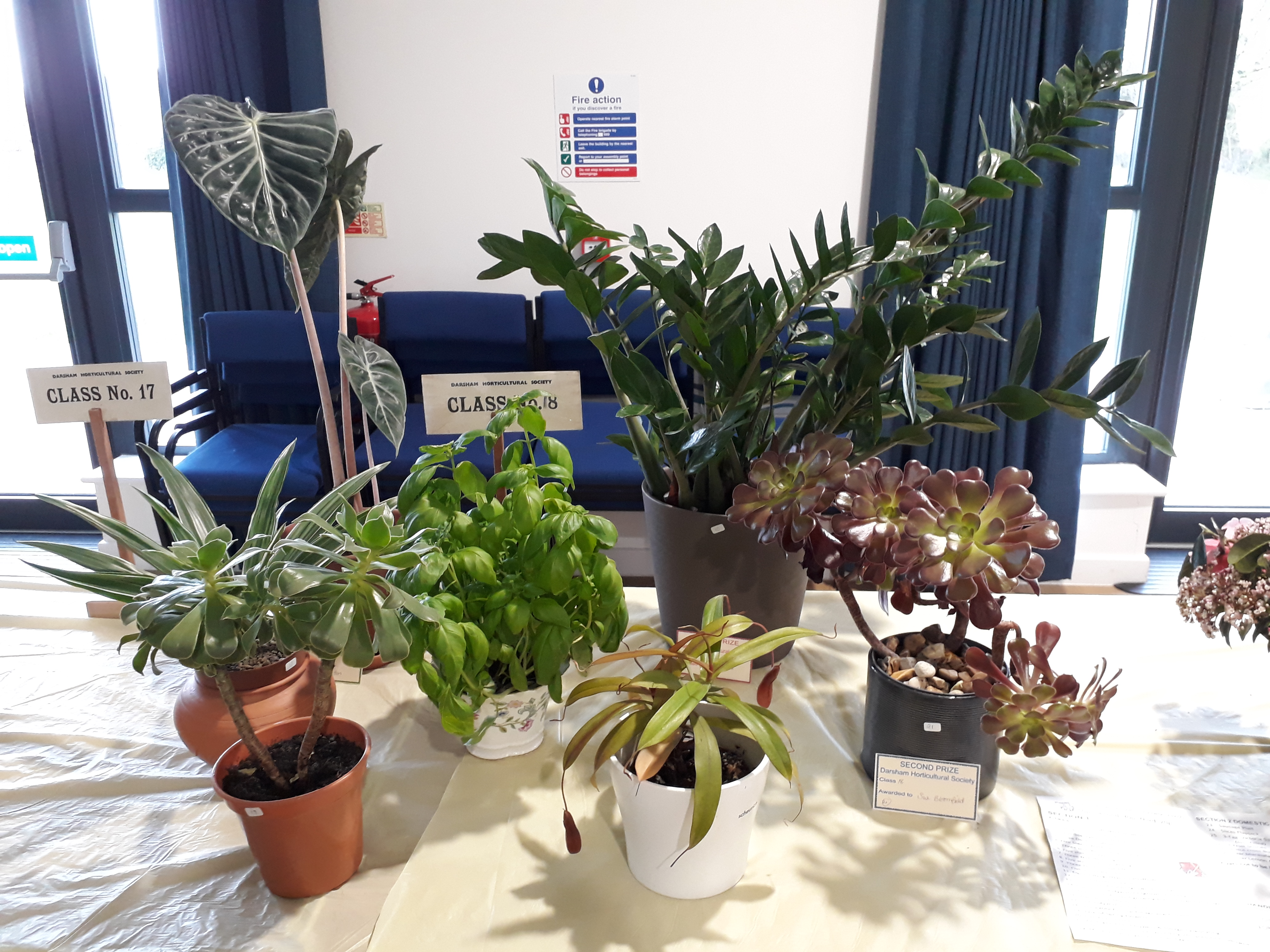 Summer Horticultural Show