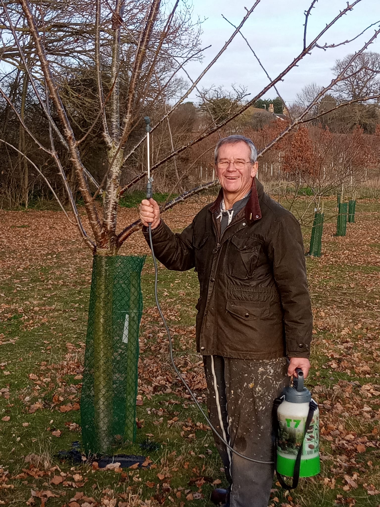 Orchard volunteer