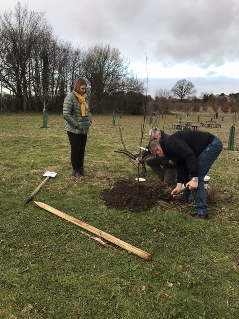 Orchard volunteers planting a fruit tree