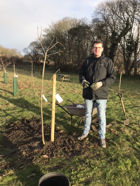 Orchard volunteer