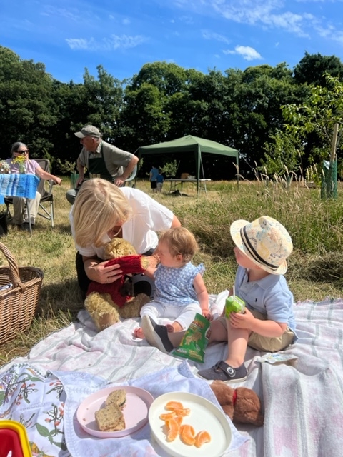 A baby on a picnic blanket with her older sibling and mum