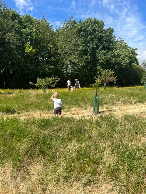 The orchard