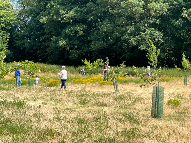 The orchard
