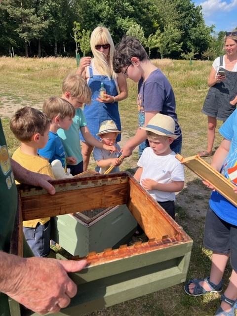 A family group examine a beehive