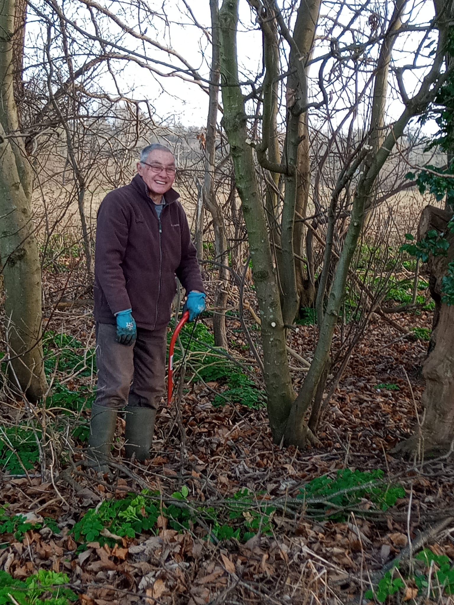 Orchard volunteer